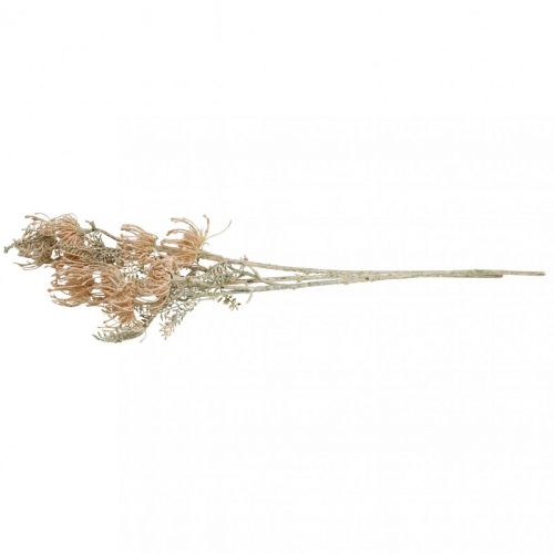 Floristik24 Fiori artificiali, fiore puntaspilli, Leucospermum, Proteaceae Washed White L58cm 3 pezzi