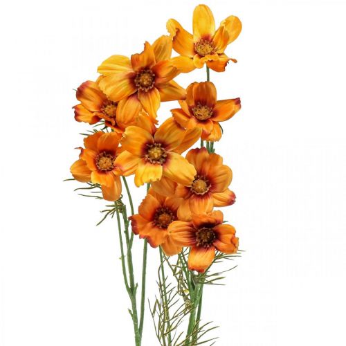 Prodotto Fiori artificiali Cosmea Cestino portagioie Arancione H51cm 3 pz