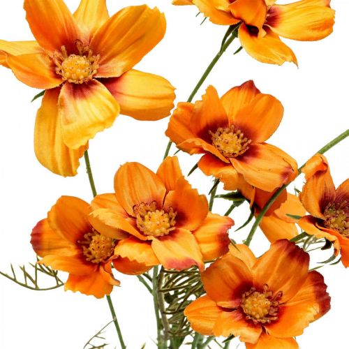 Prodotto Fiori artificiali Cosmea Cestino portagioie Arancione H51cm 3 pz