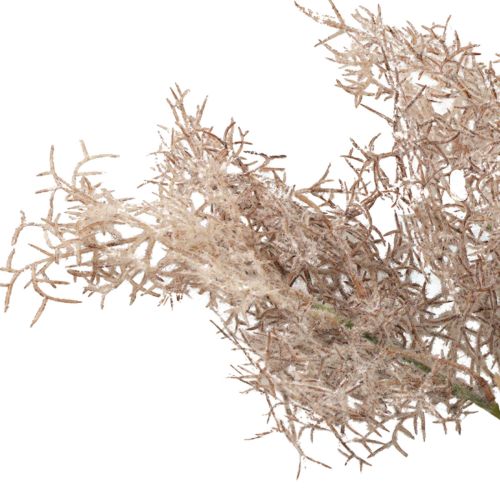 Floristik24 Decorazione di fiori artificiali, ramo di corallo, rami decorativi bianco marrone 40 cm 4 pezzi