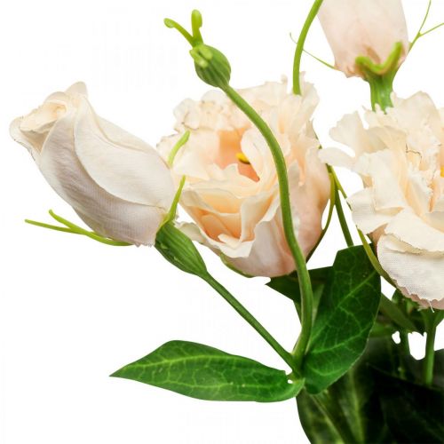 Floristik24 Fiori artificiali lisianthus crema 51 cm decorazione floreale 5 pezzi