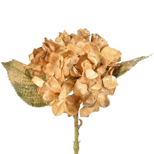 Ortensia artificiale essiccata Drylook decorazione autunnale L33cm