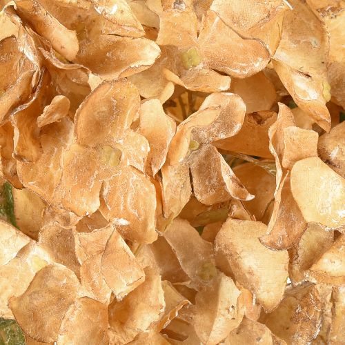 Prodotto Ortensia artificiale essiccata Drylook decorazione autunnale L33cm