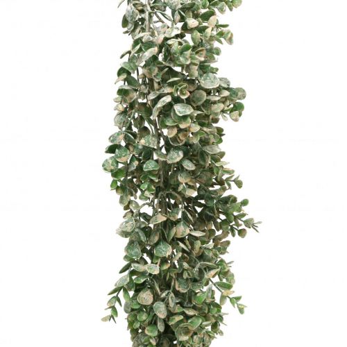 Floristik24 Ghirlanda di bosso artificiale verde bianco lavato L148cm