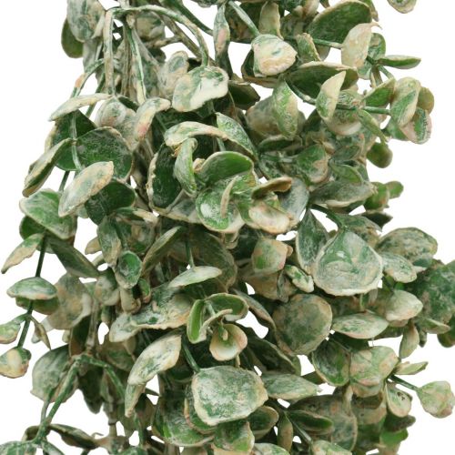 Floristik24 Ghirlanda di bosso artificiale verde bianco lavato L148cm
