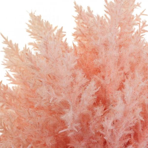 Prodotto Pianta artificiale Astilbe Decorazione Rami Artificiale Rosa H38cm 5 Pz
