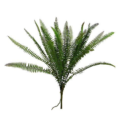 Floristik24 Felce artificiale felce verde scuro 45 cm