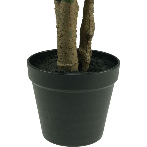 Floristik24 Pianta artificiale Filodendro Pianta artificiale in vaso H60cm