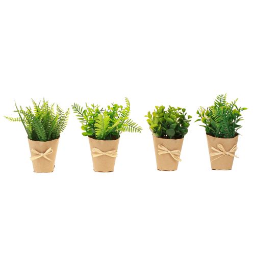 Prodotto Piante artificiali Felce artificiale Bosso 15-19 cm 4 pezzi