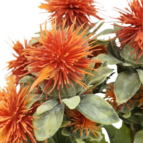 Floristik24 Piante artificiali cartamo cardo cardo ramo cardo arancione 4pz