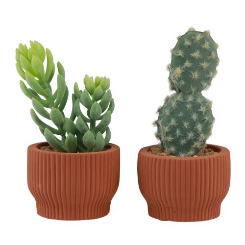 Prodotto Piante artificiali Cactus succulento Pianta verde artificiale 14,5/15,5 cm 2 pezzi