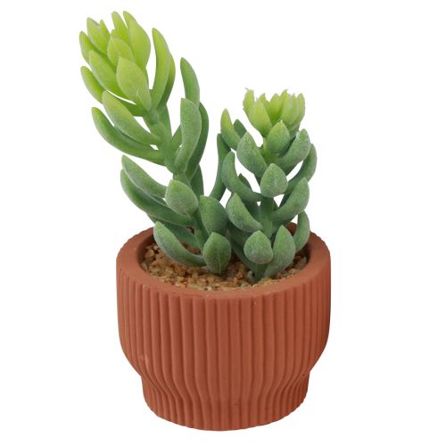 Prodotto Piante artificiali Cactus succulento Pianta verde artificiale 14,5/15,5 cm 2 pezzi