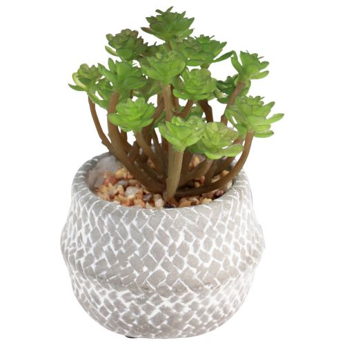 Prodotto Piante artificiali Piante grasse Pianta verde artificiale 11-14 cm 3 pezzi
