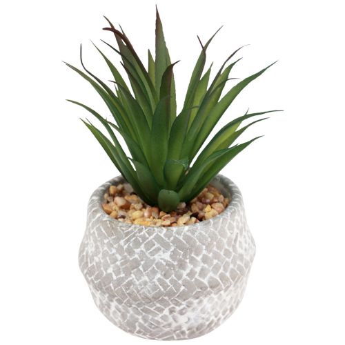 Prodotto Piante artificiali Piante grasse Pianta verde artificiale 11-14 cm 3 pezzi