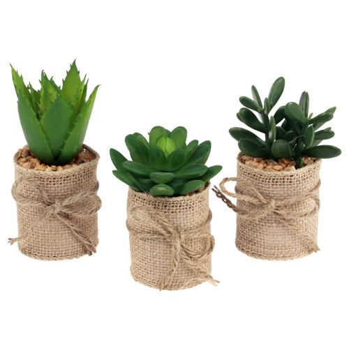 Floristik24 Piante artificiali decorative succulente artificiali 9,5-12,5 cm 3 pezzi