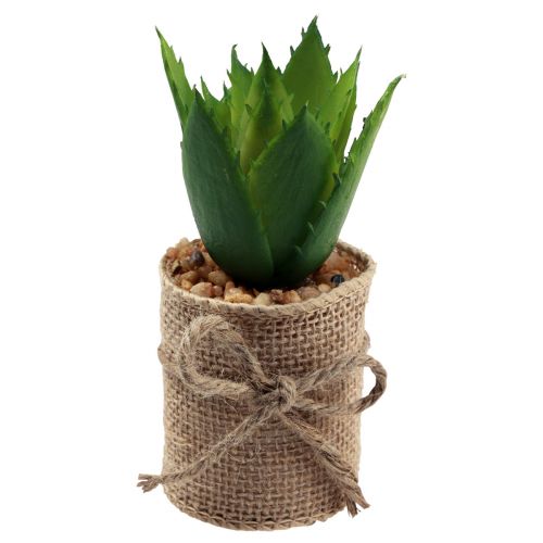 Floristik24 Piante artificiali decorative succulente artificiali 9,5-12,5 cm 3 pezzi