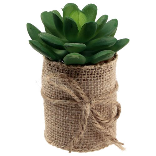 Floristik24 Piante artificiali decorative succulente artificiali 9,5-12,5 cm 3 pezzi