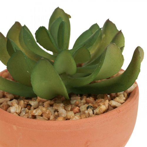 Floristik24 Piante artificiali in vaso piante grasse artificiali H9cm 3pz