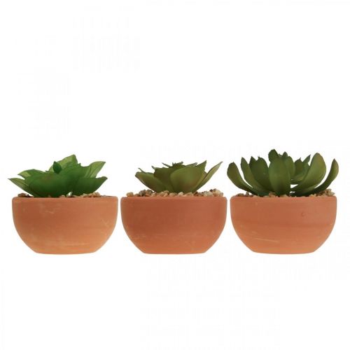 Floristik24 Piante artificiali in vaso piante grasse artificiali H9cm 3pz