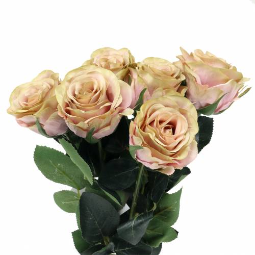 Floristik24 Art rose crema riempita, rosa Ø6cm L37cm 6 pezzi