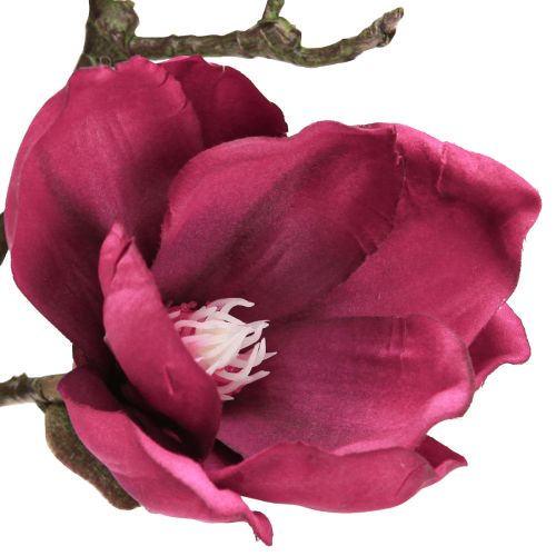 Prodotto Ramo di magnolia artificiale Fiori artificiali Bordeaux L100cm