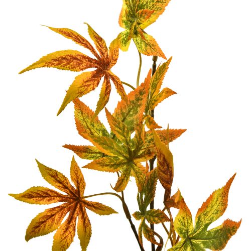Ramo artificiale acero arancione rosso ramo deco decorazione autunnale 60 cm
