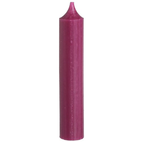 Floristik24 Candele bastoncino corto candele di cera Berry 21×110mm 6 pz