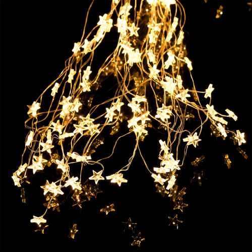 Floristik24 Fascio luminoso a LED stella per esterno 320 1m argento / bianco caldo