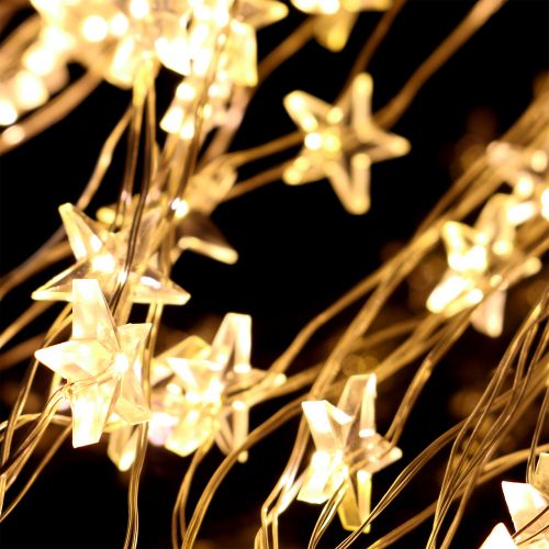 Floristik24 Fascio luminoso a LED stella per esterno 320 1m argento / bianco caldo