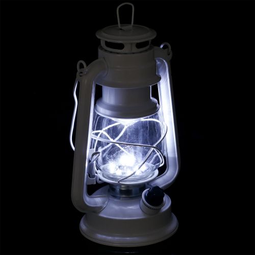 Floristik24 Lanterna LED dimmerabile bianco caldo 24,5 cm con 15 lampade