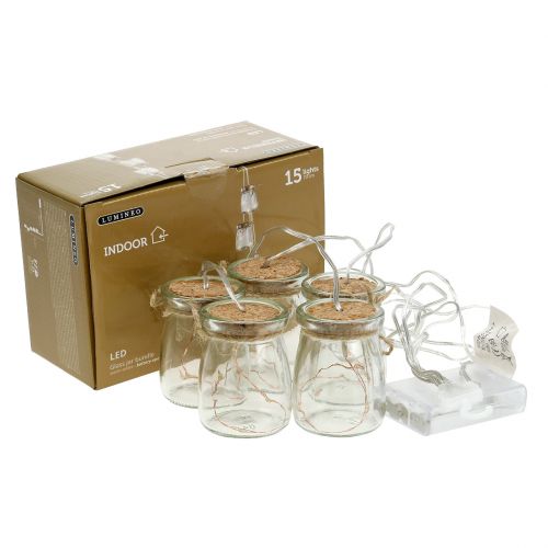 Floristik24 Catena luminosa a LED in vetro bianco caldo 70cm 15 luci