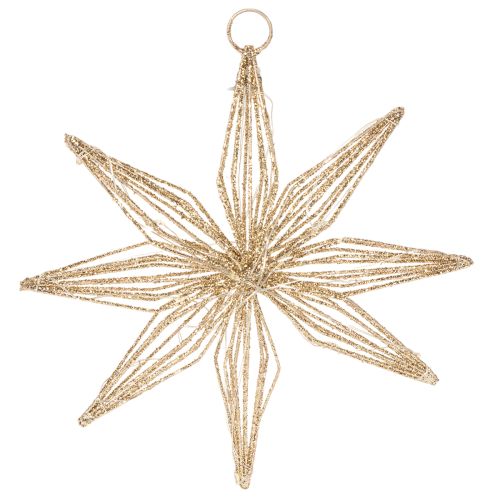 Stella decorativa a LED in filo metallico, da appendere, 20 LED, luce bianca calda, per interni, 22 cm
