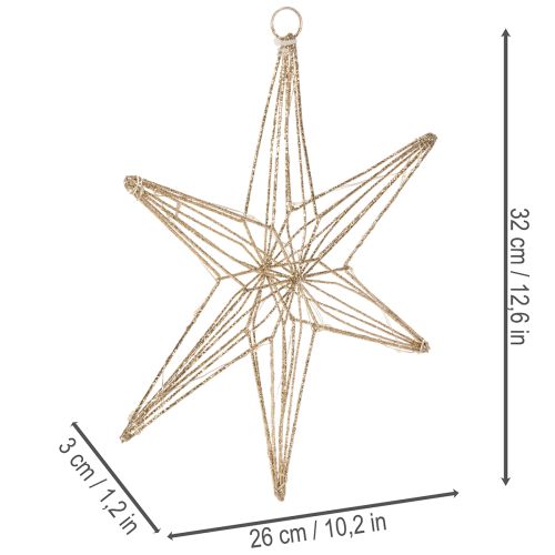 Stella decorativa a LED in filo metallico da appendere, per uso interno, 32 cm | Floristik24.it