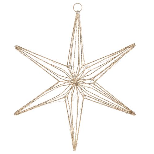 Stella decorativa a LED in filo metallico, decorazione da appendere per interni, 40 LED, luce bianca calda, 42 cm