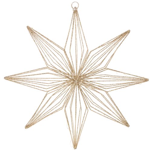 Stella decorativa a LED in filo metallico da appendere, per uso interno, alimentata a batteria, 51 cm