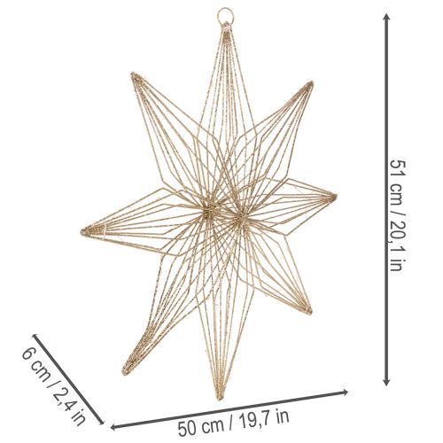 Stella decorativa a LED in filo metallico da appendere, per uso interno, alimentata a batteria, 51 cm | Floristik24.it