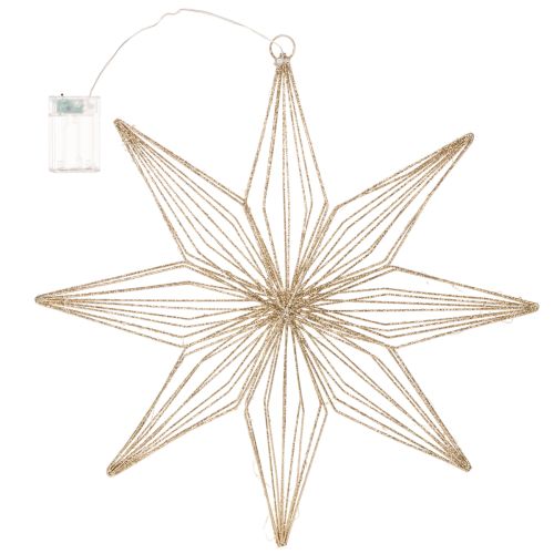 Stella decorativa a LED in filo metallico da appendere, per uso interno, alimentata a batteria, 51 cm | Floristik24.it