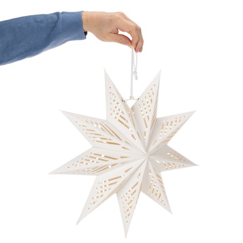 Decorazione natalizia a LED a forma di stella da appendere, luce bianca calda, per interni, 38 cm | Floristik24.it