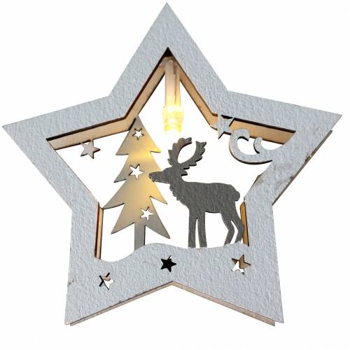 Floristik24 Catena luminosa a LED con stelle in legno a batteria
