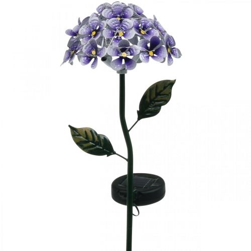 Floristik24 Crisantemo luminoso, decorazione in metallo per il giardino, decorazione solare con LED viola L55cm Ø15cm