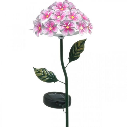 Floristik24 Fiore solare, decorazione da giardino a LED, rosa crisantemo decorativo L55cm Ø15cm