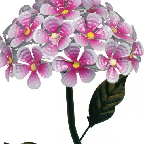 Floristik24 Fiore solare, decorazione da giardino a LED, rosa crisantemo decorativo L55cm Ø15cm