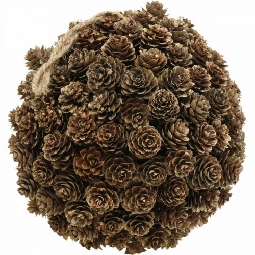Floristik24 Decorazione a sfera cono di larice con cono per appendere la natura Ø20cm