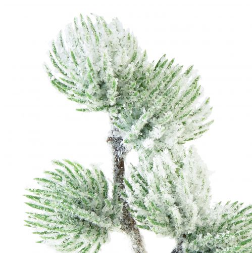 Prodotto Ramo di larice artificiale ramo decorativo verde con neve L25cm