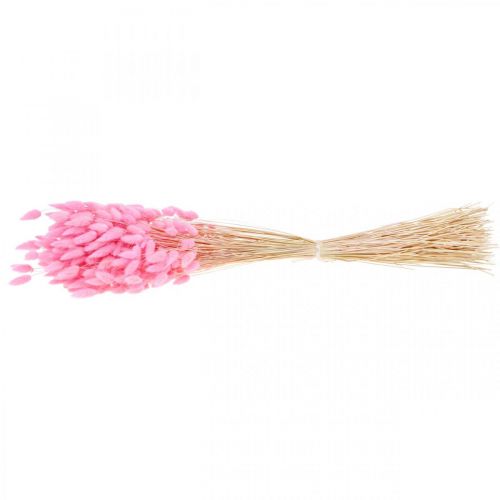 Prodotto Lagurus Erba Secca Coda di Coniglio Rosa 65-70 cm 100 g