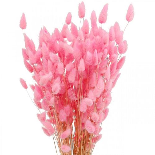 Prodotto Lagurus Erba Secca Coda di Coniglio Rosa 65-70 cm 100 g