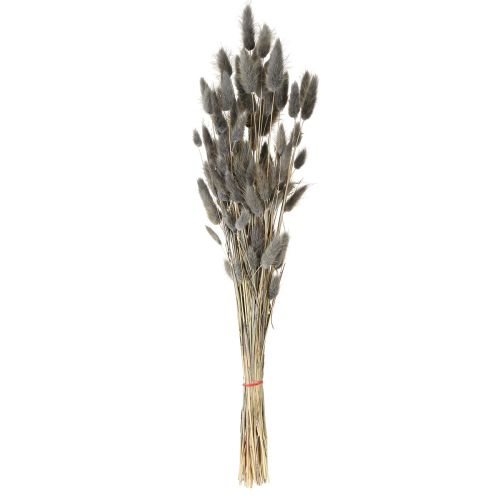 Prodotto Lagurus Erba Coda di Lepre Essiccata Grigia 45-55cm 50g