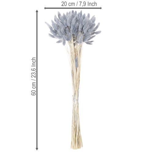 Prodotto Lagurus essiccata (erba coda di lepre) grigia per bouquet di fiori secchi 60 cm 75 g