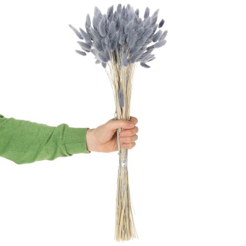 Prodotto Lagurus essiccata (erba coda di lepre) grigia per bouquet di fiori secchi 60 cm 75 g