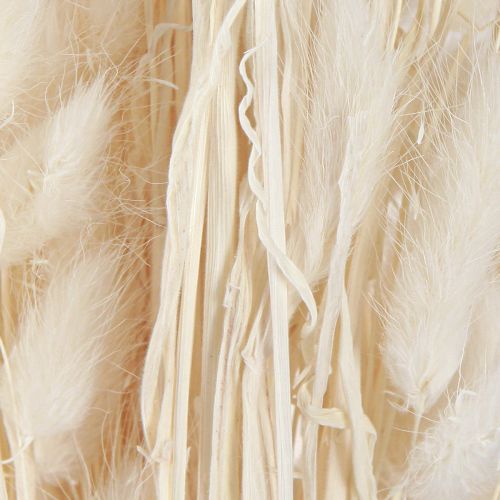 Prodotto Fiori secchi Lagurus Natural – Erba di coda di coniglio soffice in bianco crema 55-70 cm 100 g